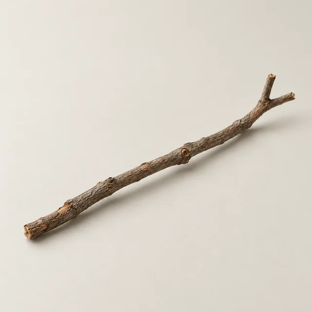 A single slightly crooked dry stick with a small fork at one end.
